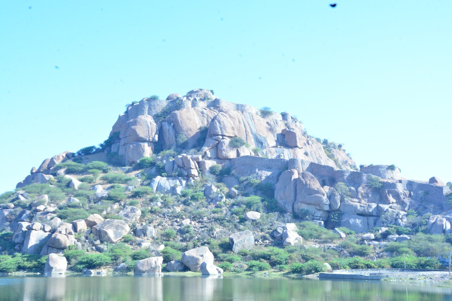 black and brown leather padded tub sofa