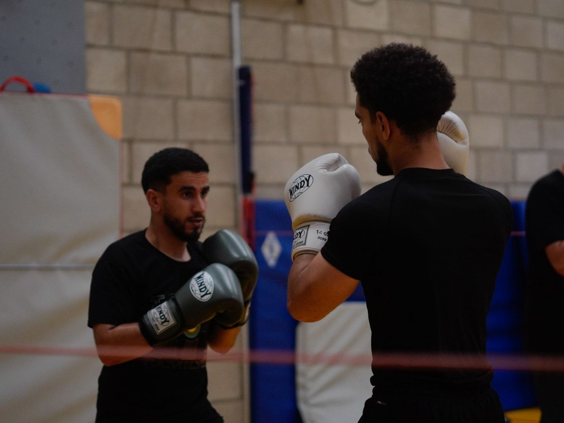 black and brown leather padded tub sofa