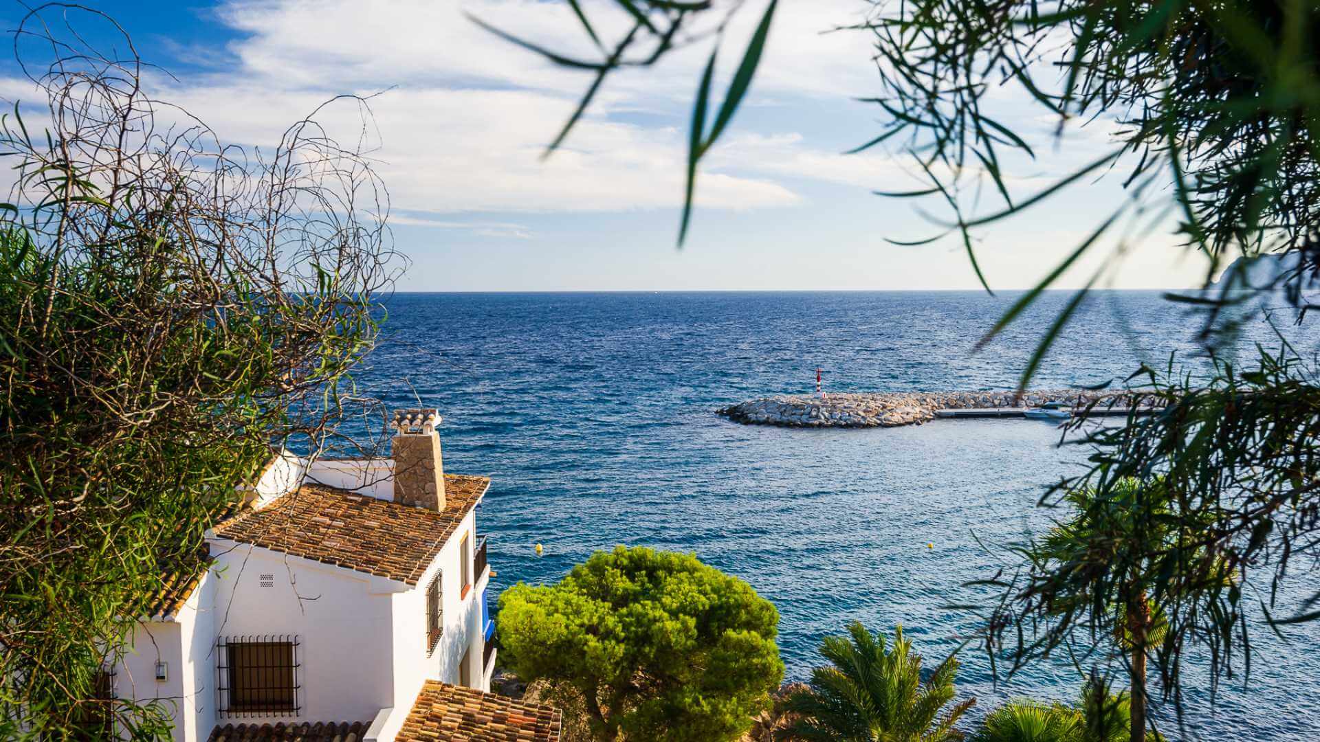 A view of a beach with blue water and trees