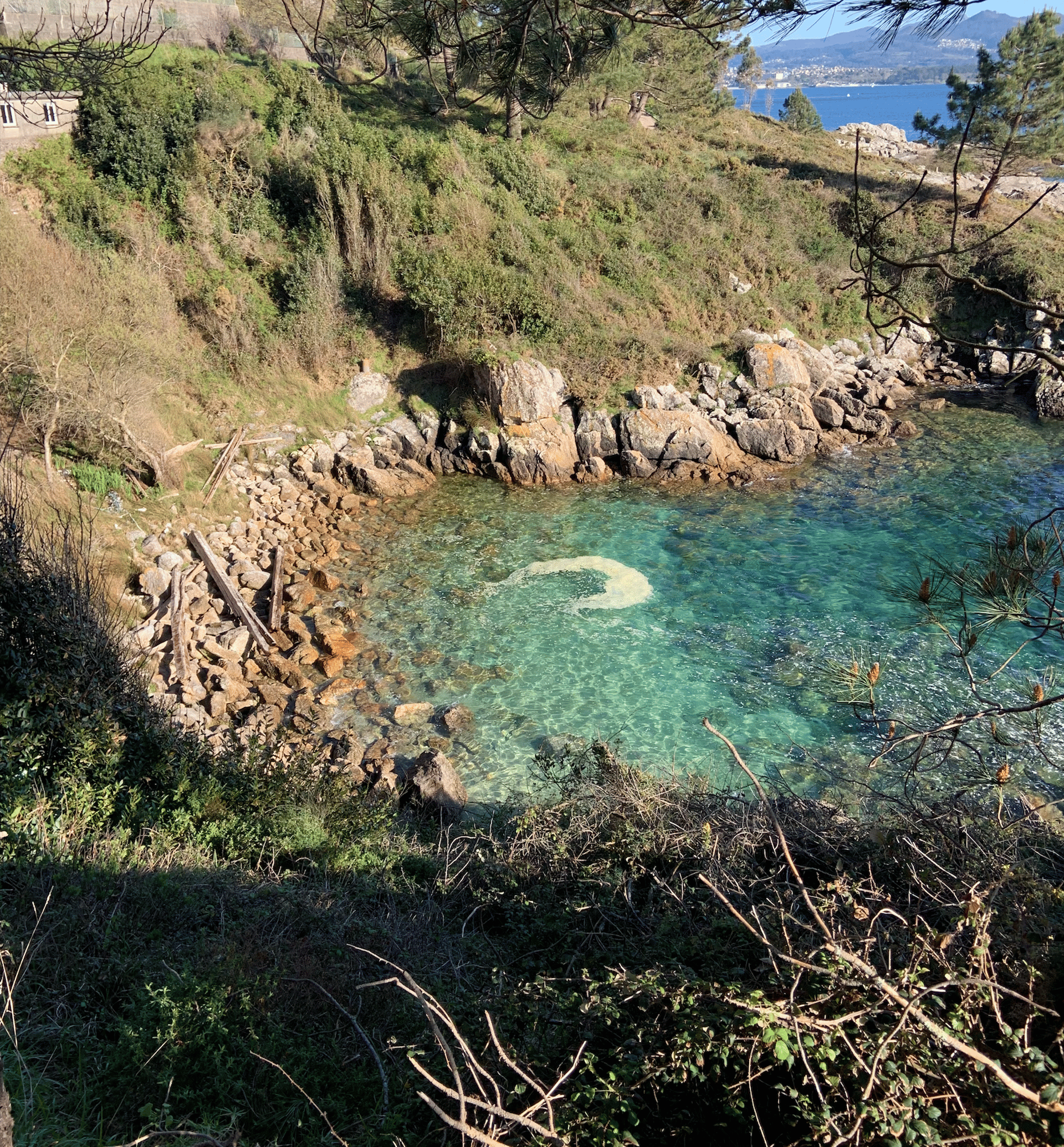 an abstract photo of a curved building with a blue sky in the background