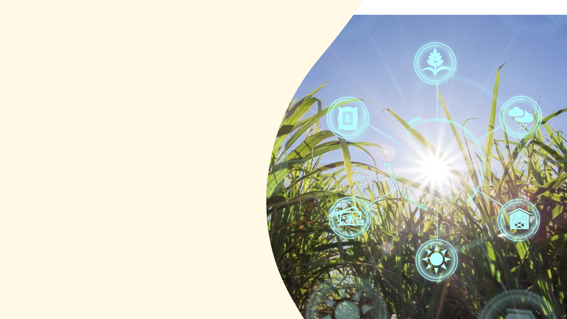 black and brown leather padded tub sofa