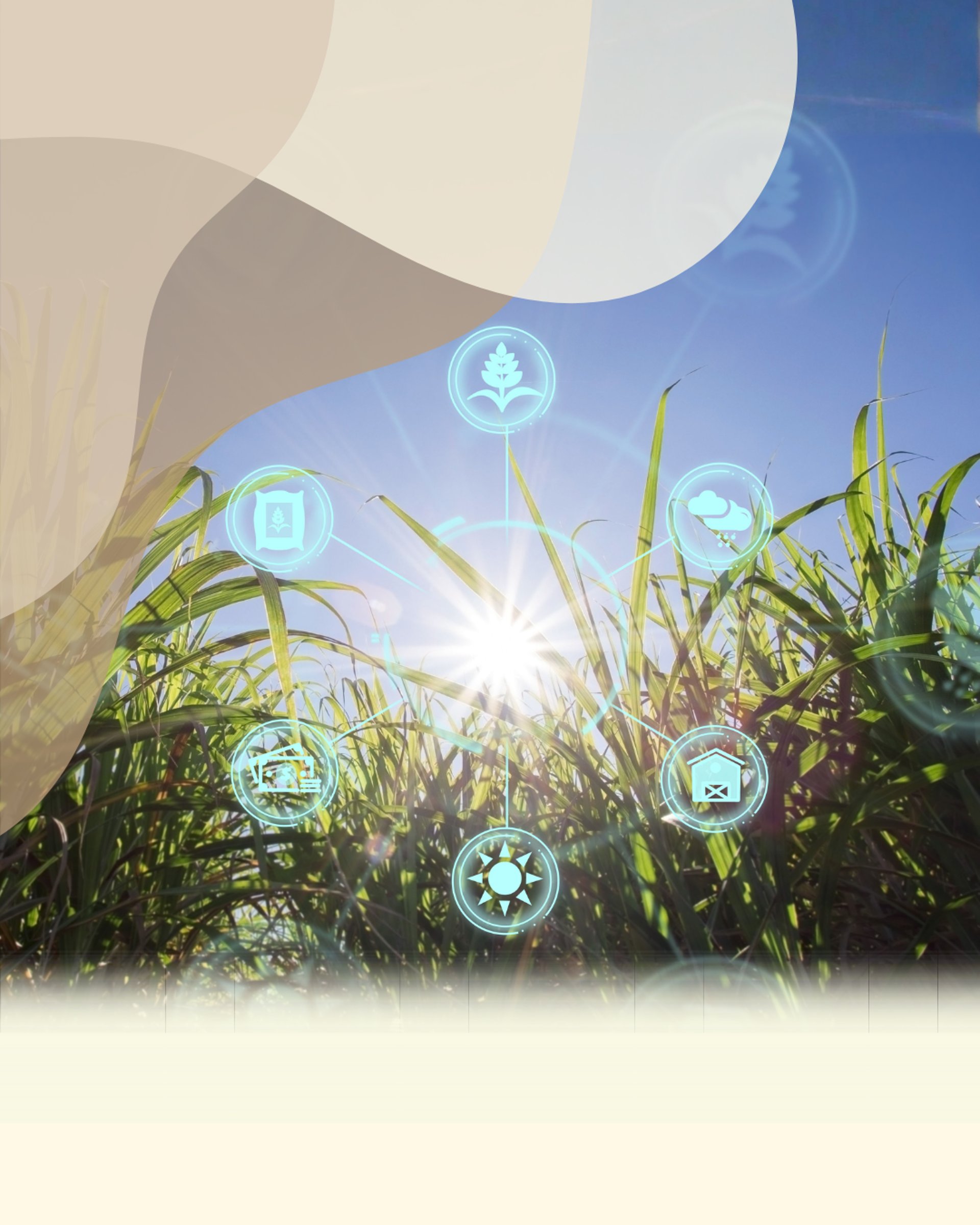 black and brown leather padded tub sofa