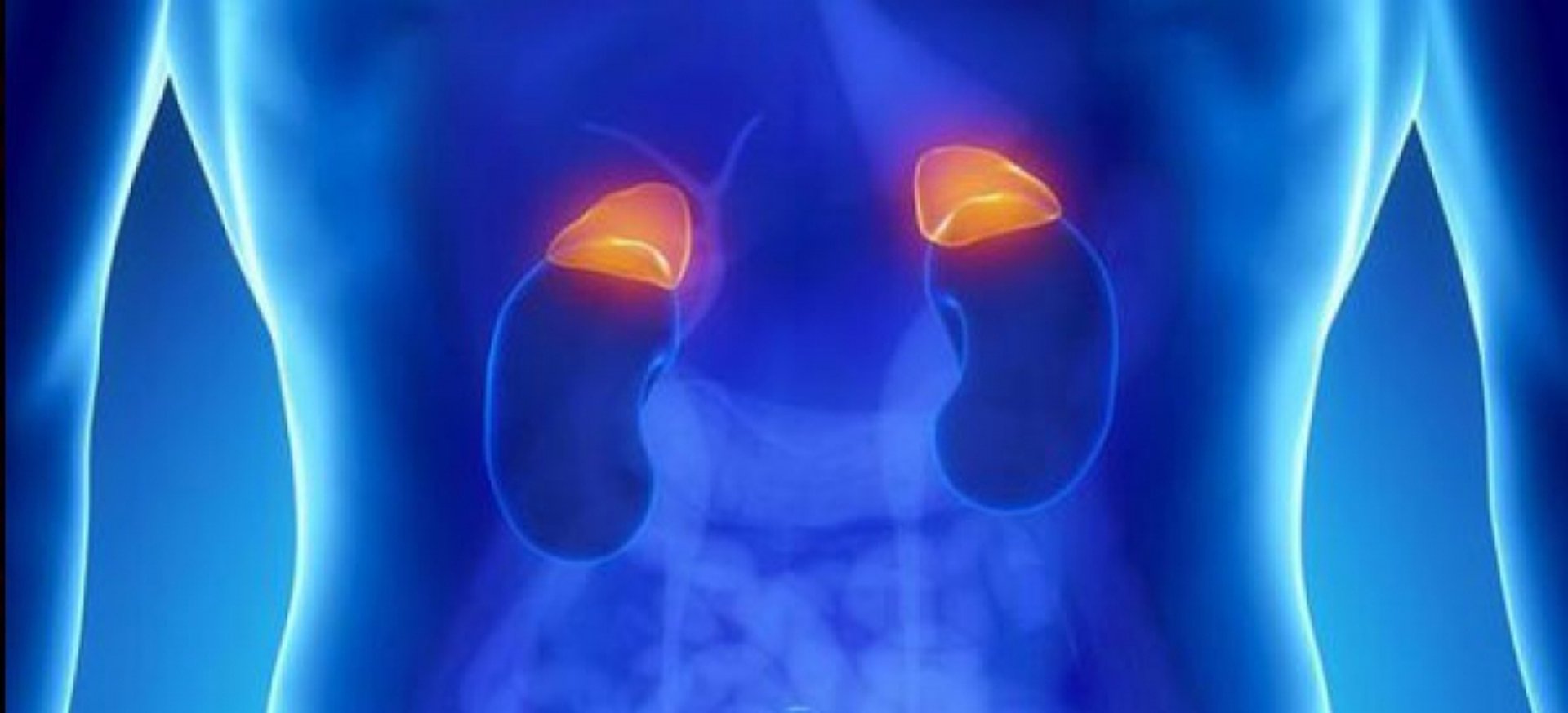 a person holding a smart phone next to an electronic device