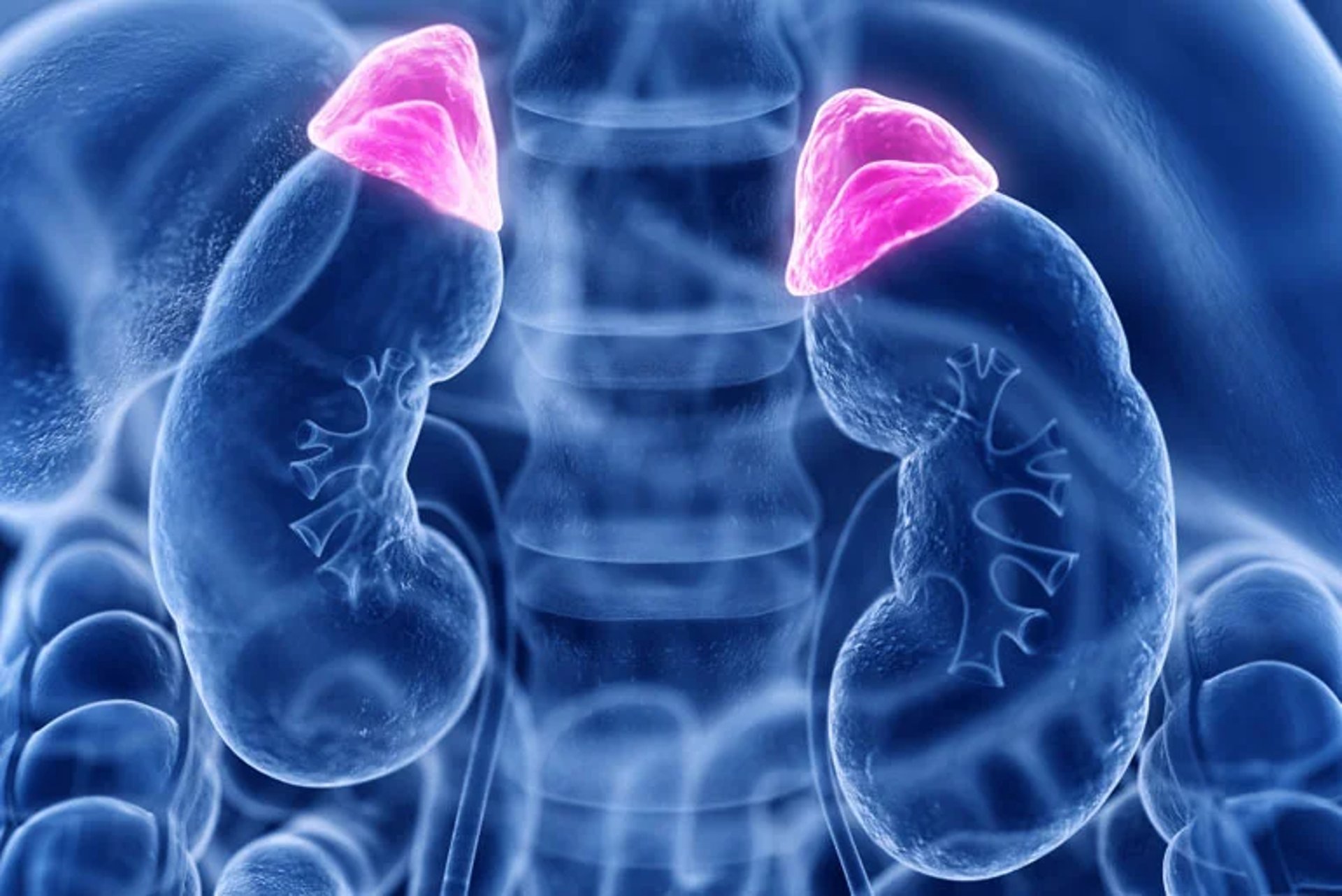 a person holding a smart phone next to an electronic device