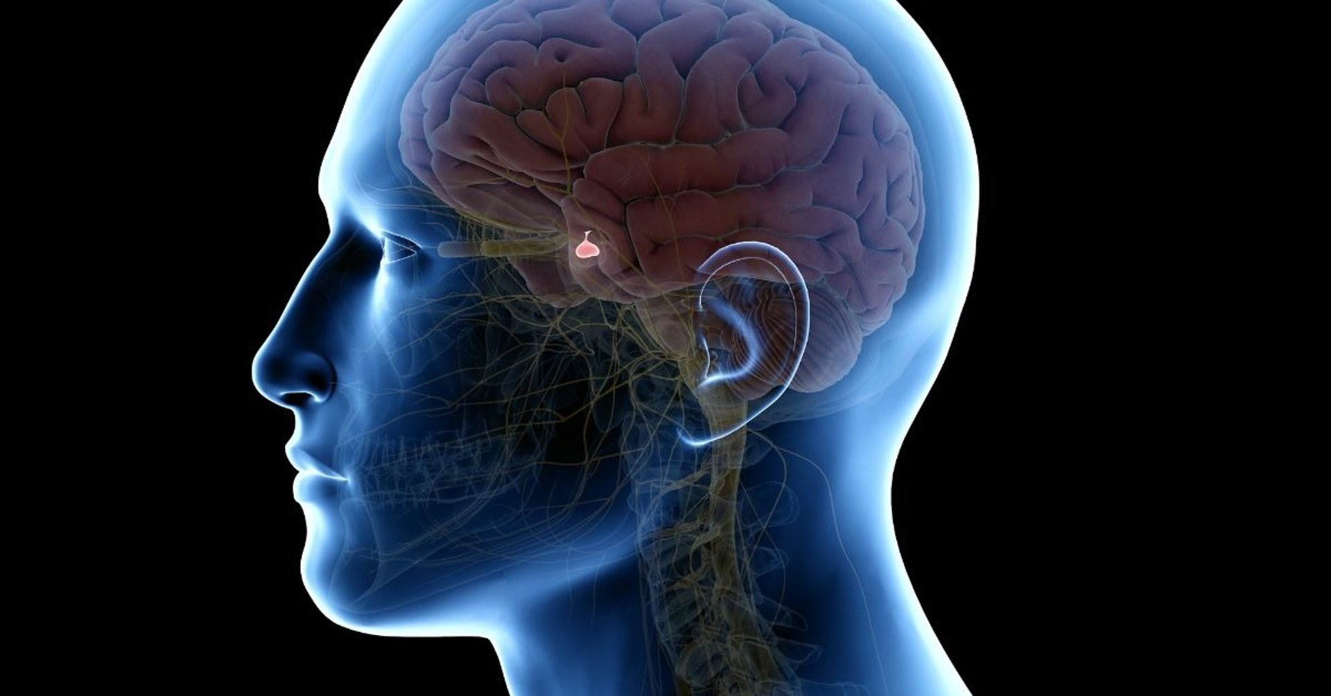 a person holding a smart phone next to an electronic device