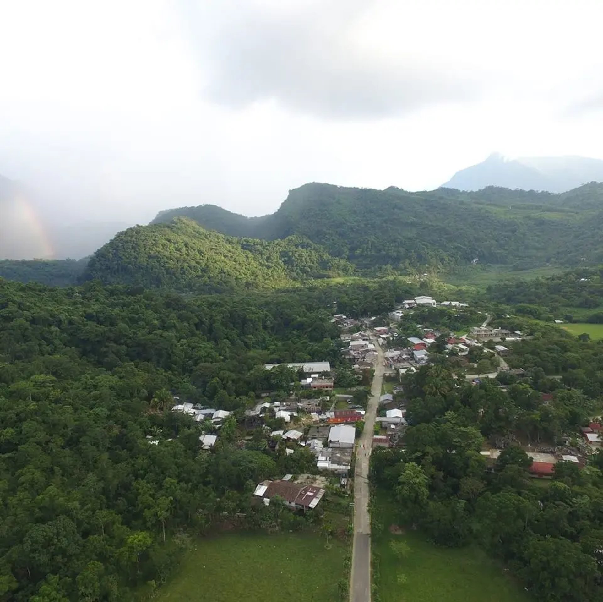 gray computer monitor