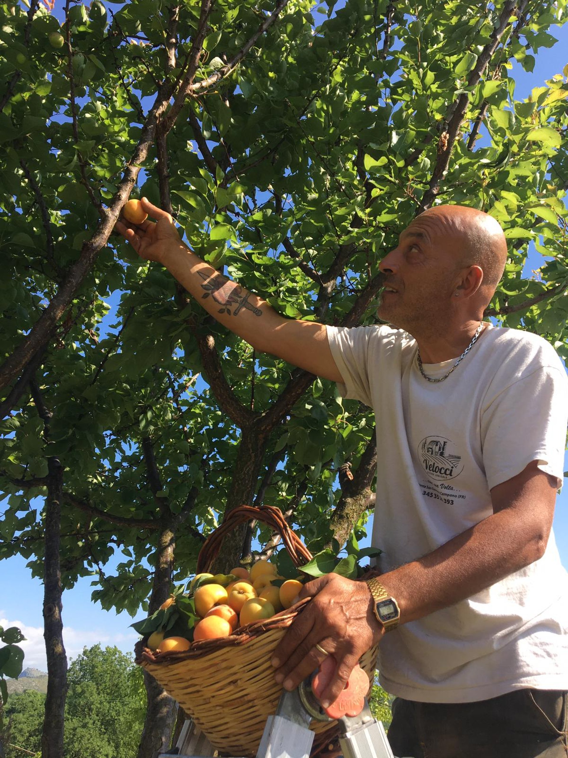 gray computer monitor