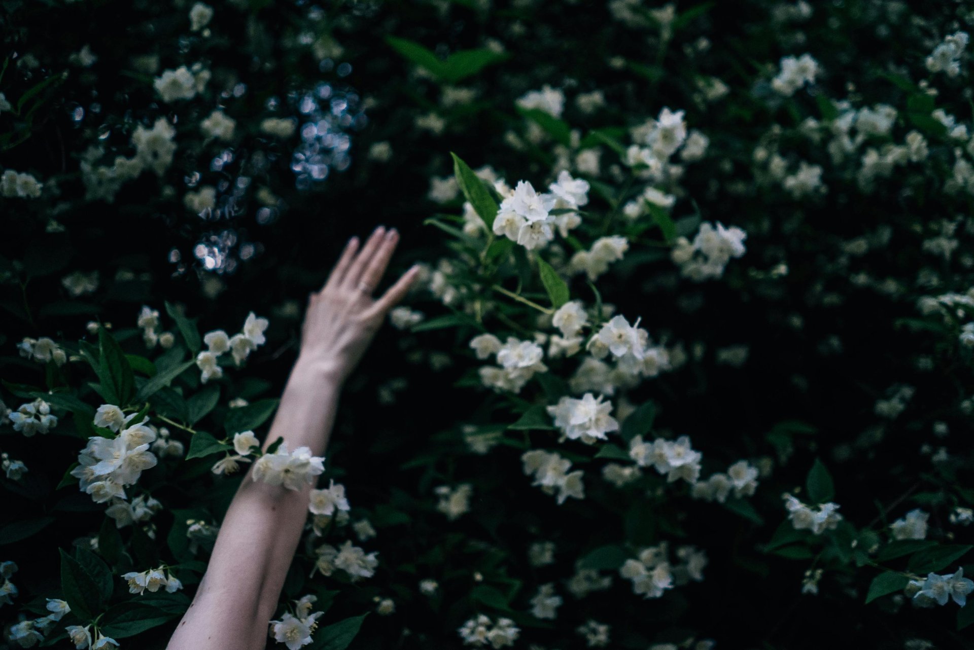 mountain range under blue sky