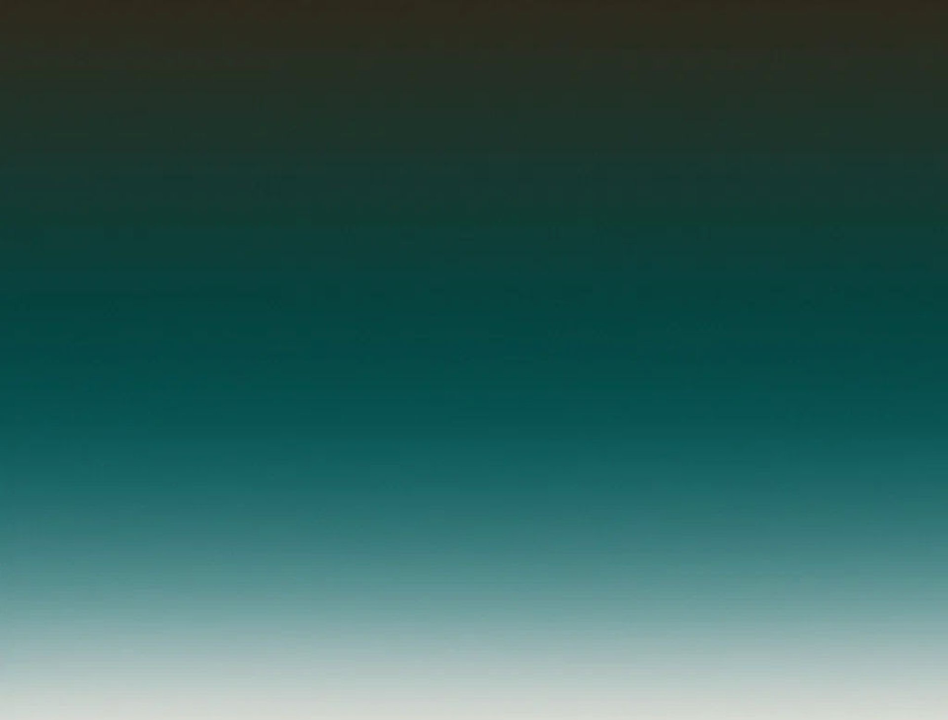 person holding black and gray digital camera