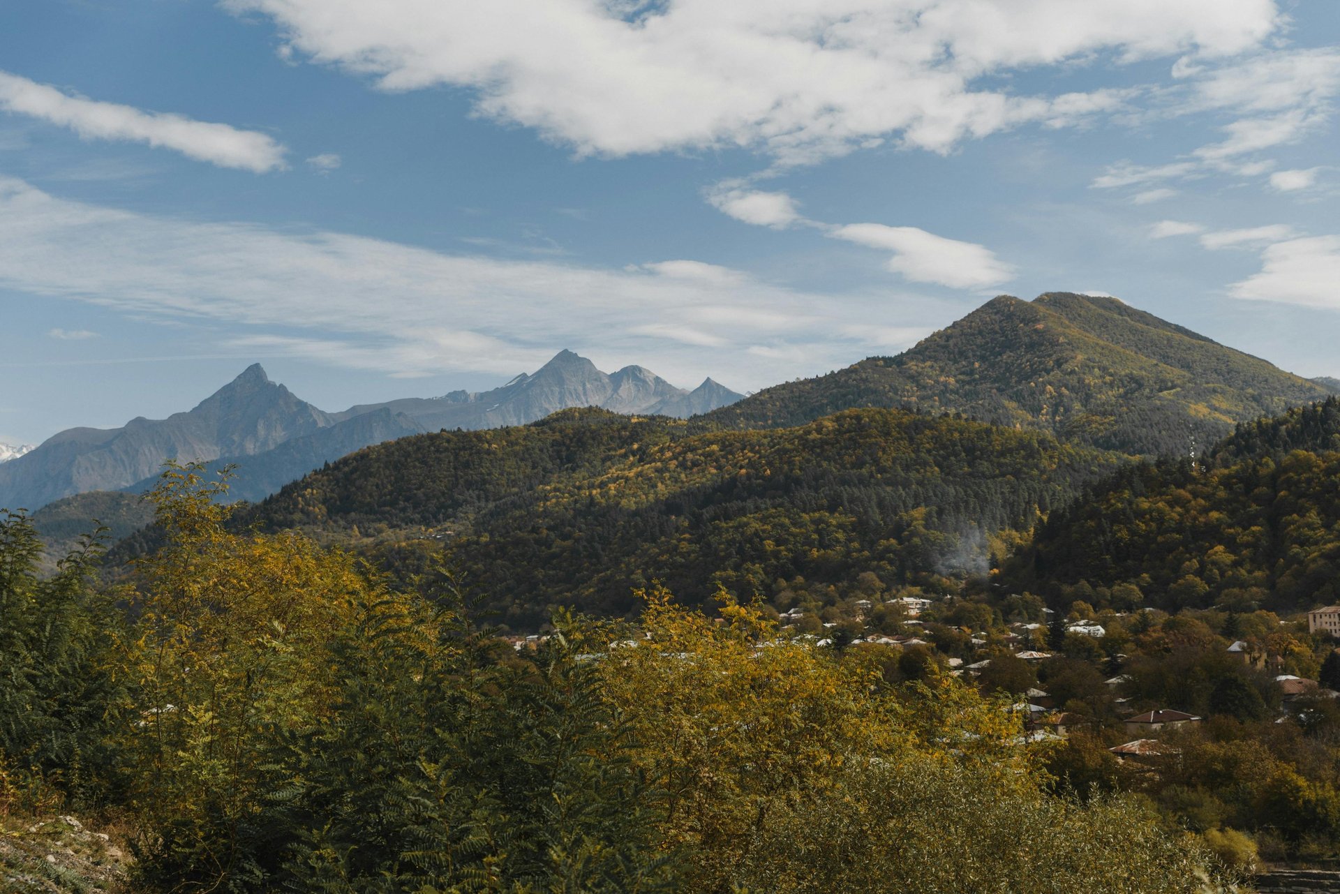 brown wooden house on lake