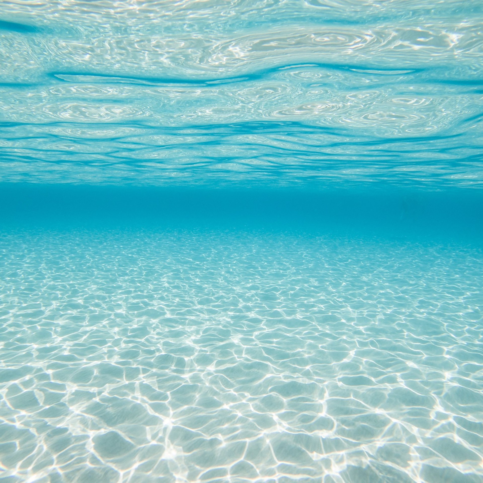 Underwater shot of the Blue Lagoon.