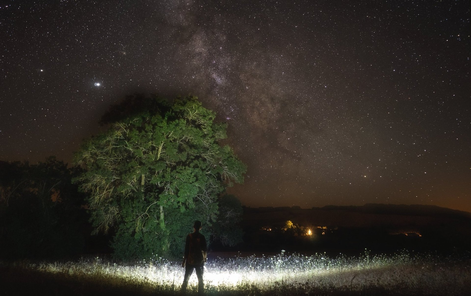 black and white bed linen