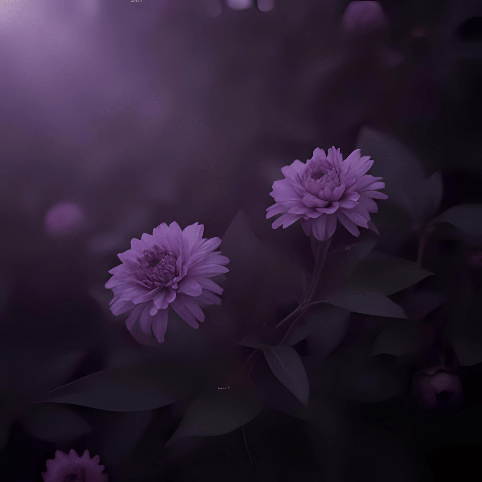 closeup photo of purple petaled flower