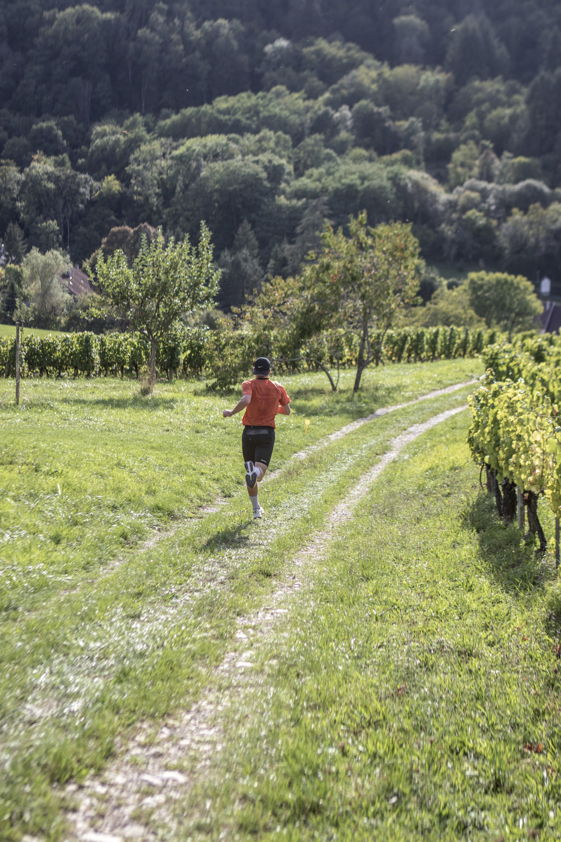black blue and yellow textile
