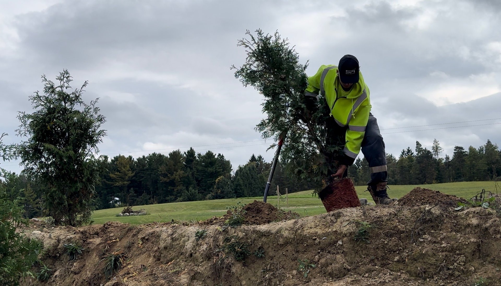 a park bench surrounded by fallen leaves and trees