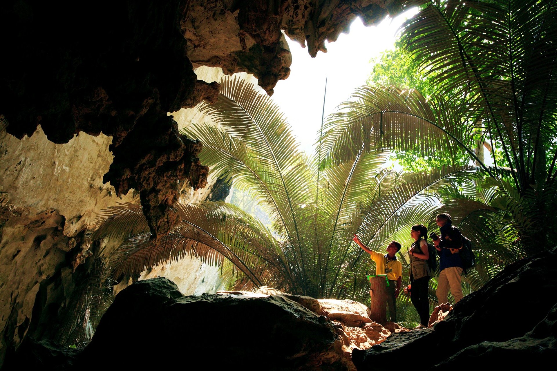 woman wearing yellow long-sleeved dress under white clouds and blue sky during daytime