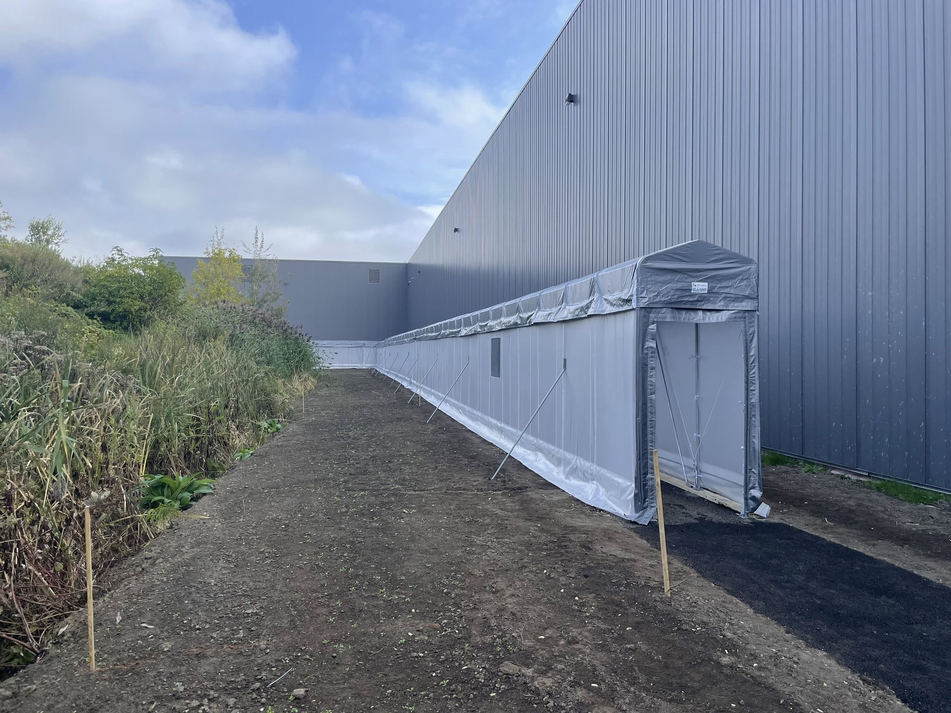 woman wearing yellow long-sleeved dress under white clouds and blue sky during daytime