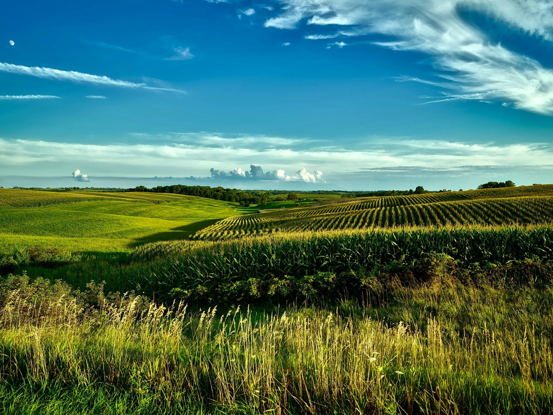 mountain range under blue sky