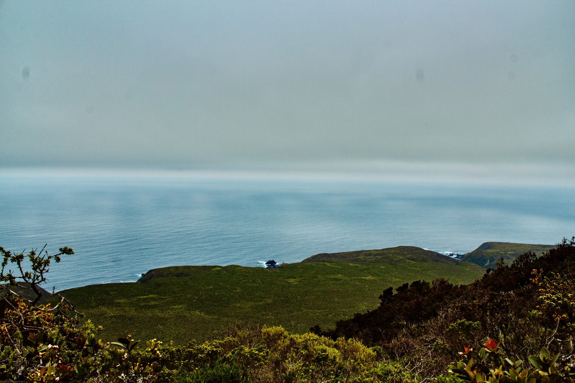 an abstract photo of a curved building with a blue sky in the background