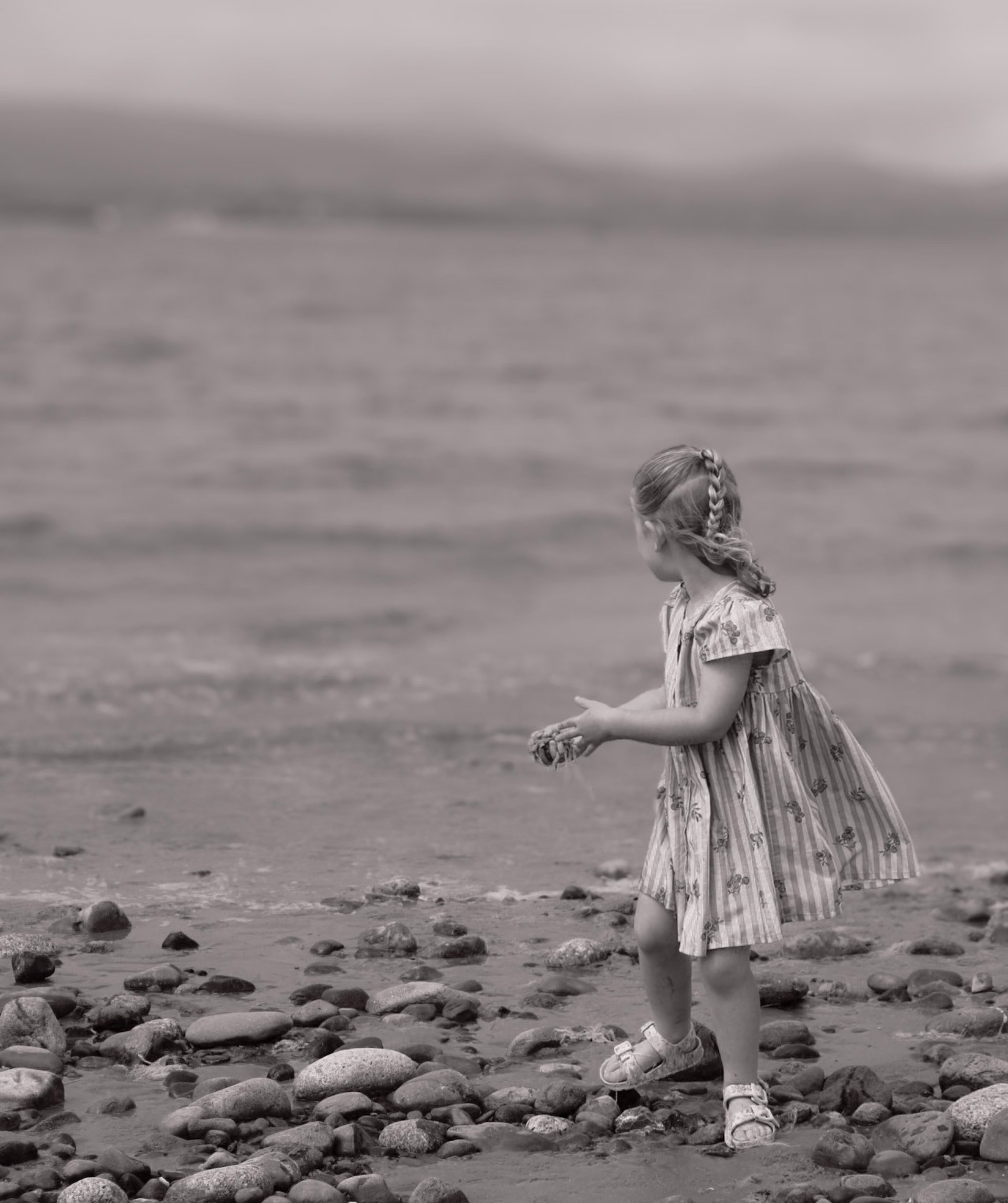 gray computer monitor