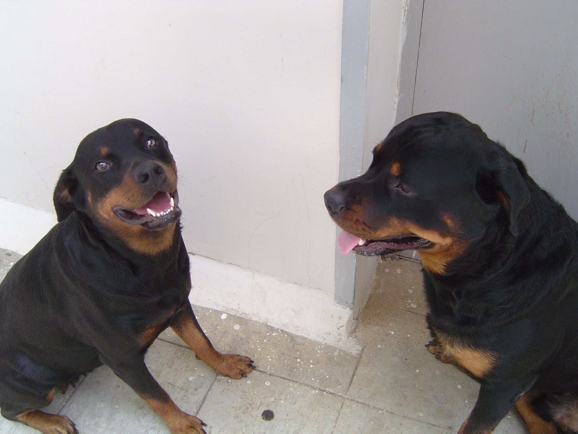 woman wearing yellow long-sleeved dress under white clouds and blue sky during daytime