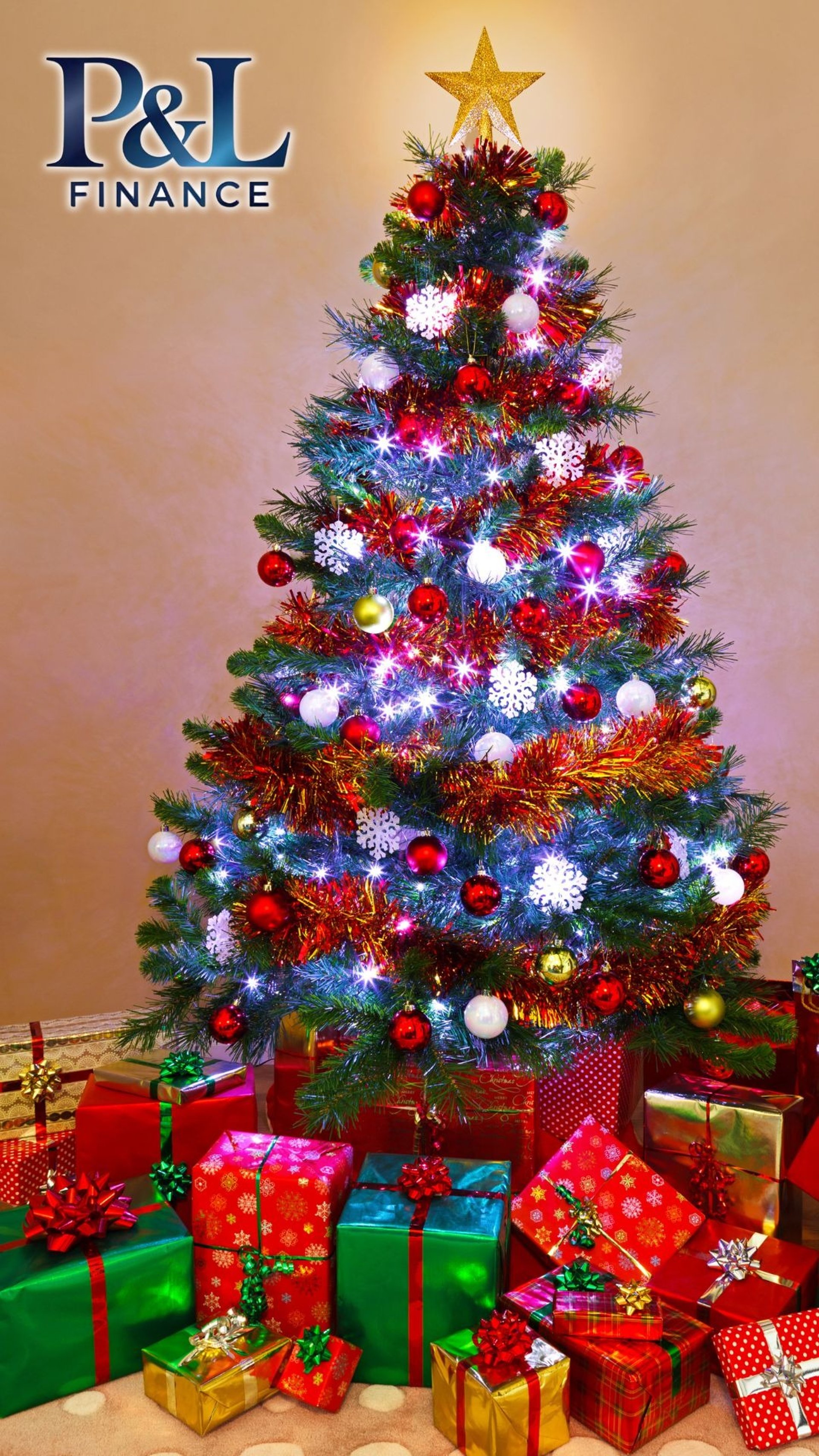 partners and leaders