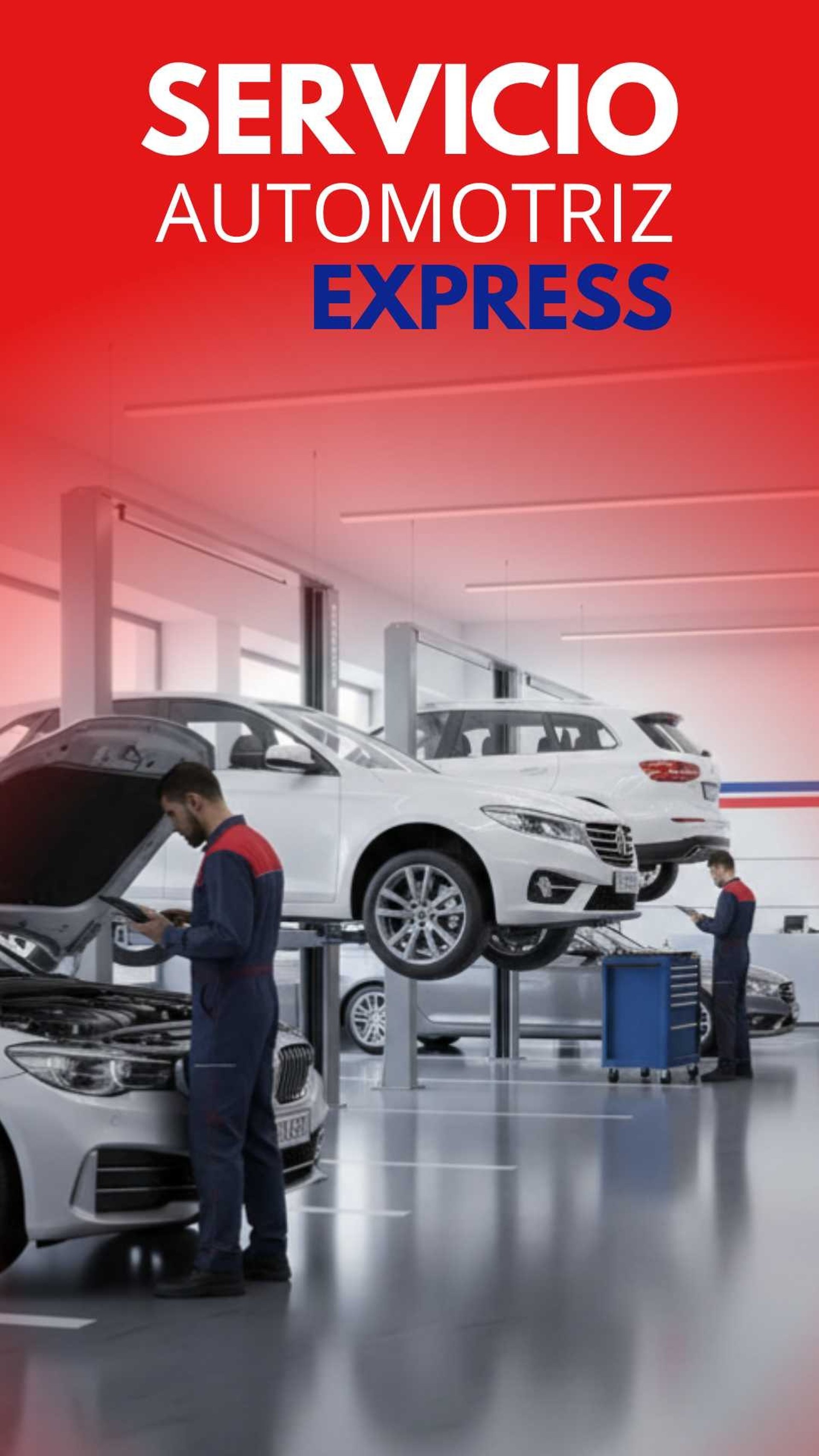 partners and leaders