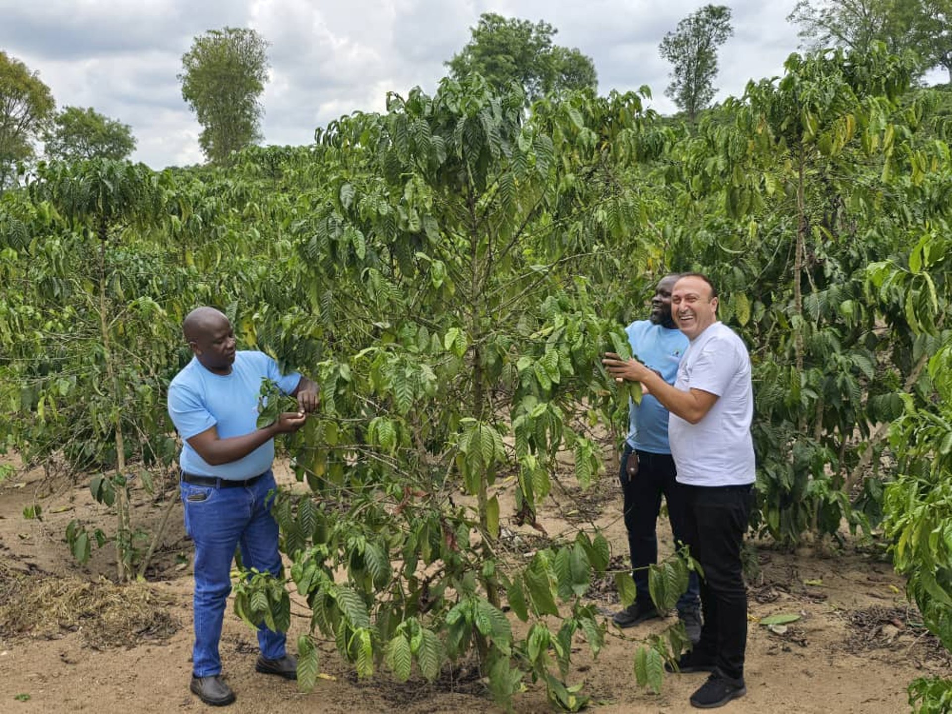woman wearing yellow long-sleeved dress under white clouds and blue sky during daytime