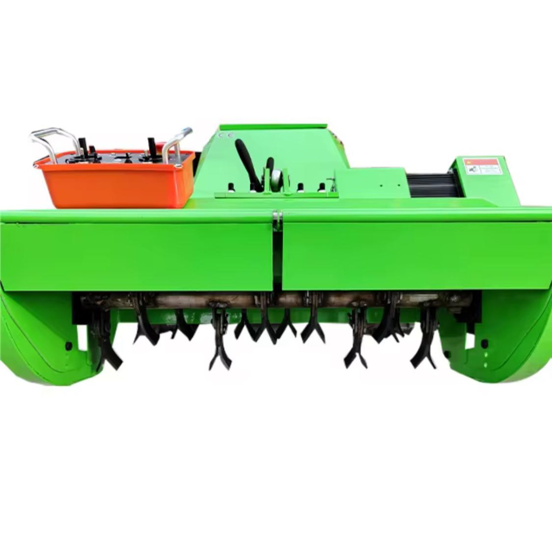 woman holding dried flower