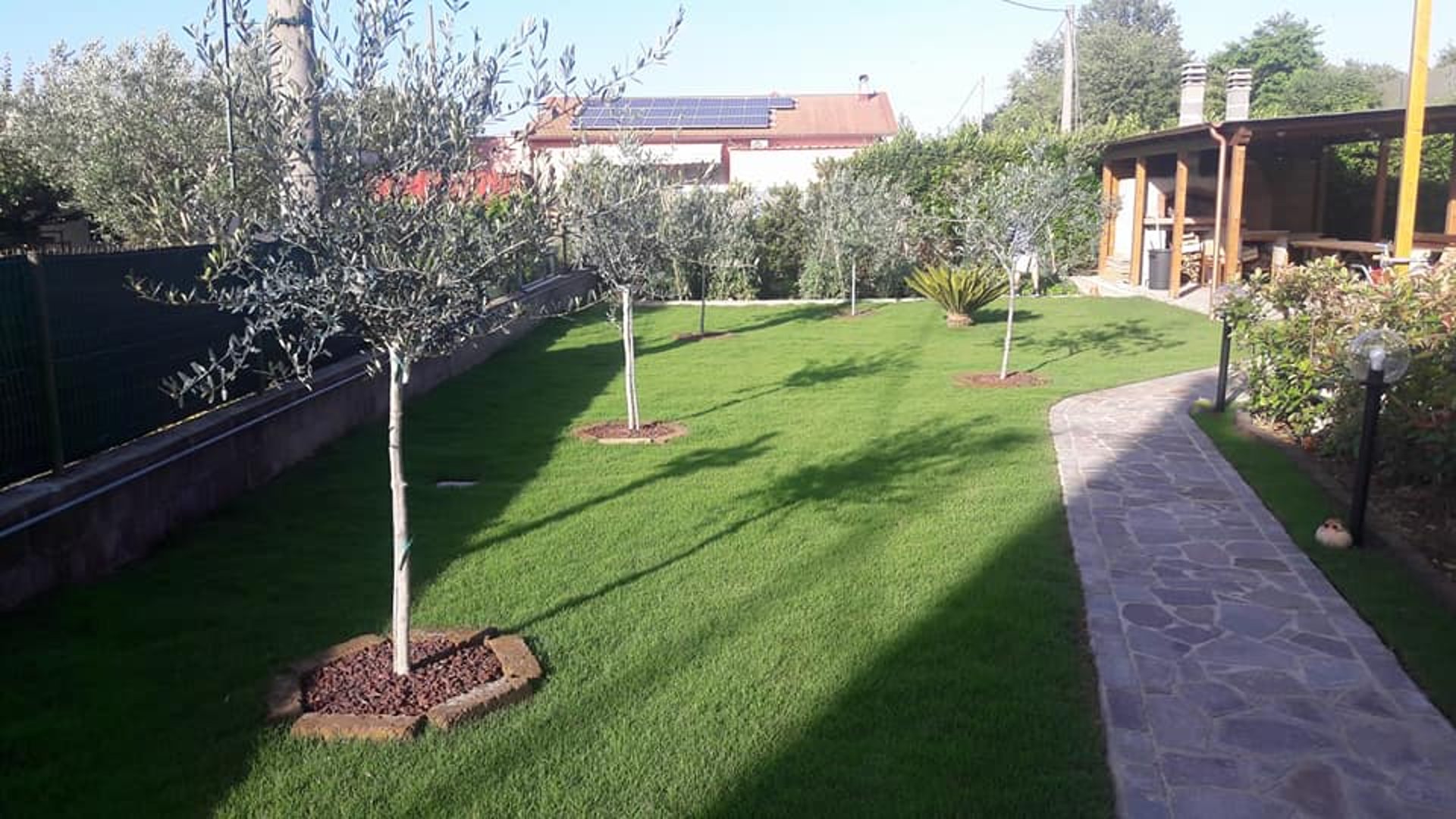 green grass field with trees