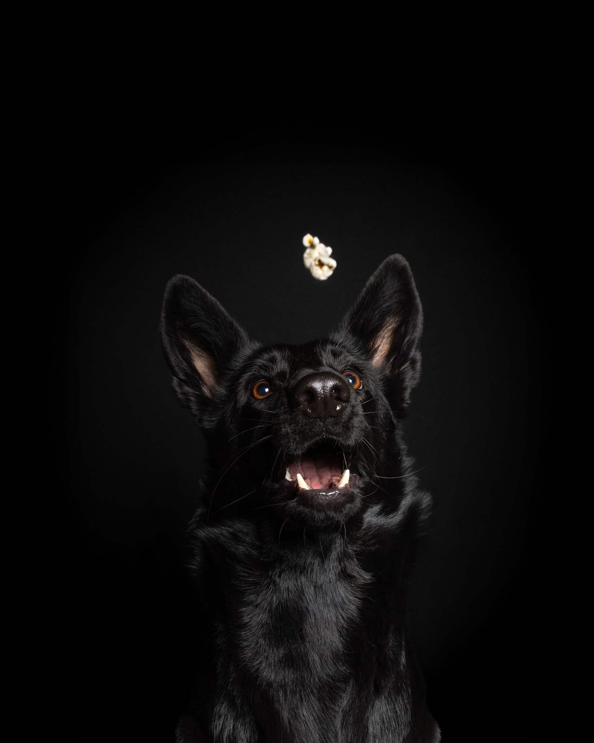 black and white bed linen