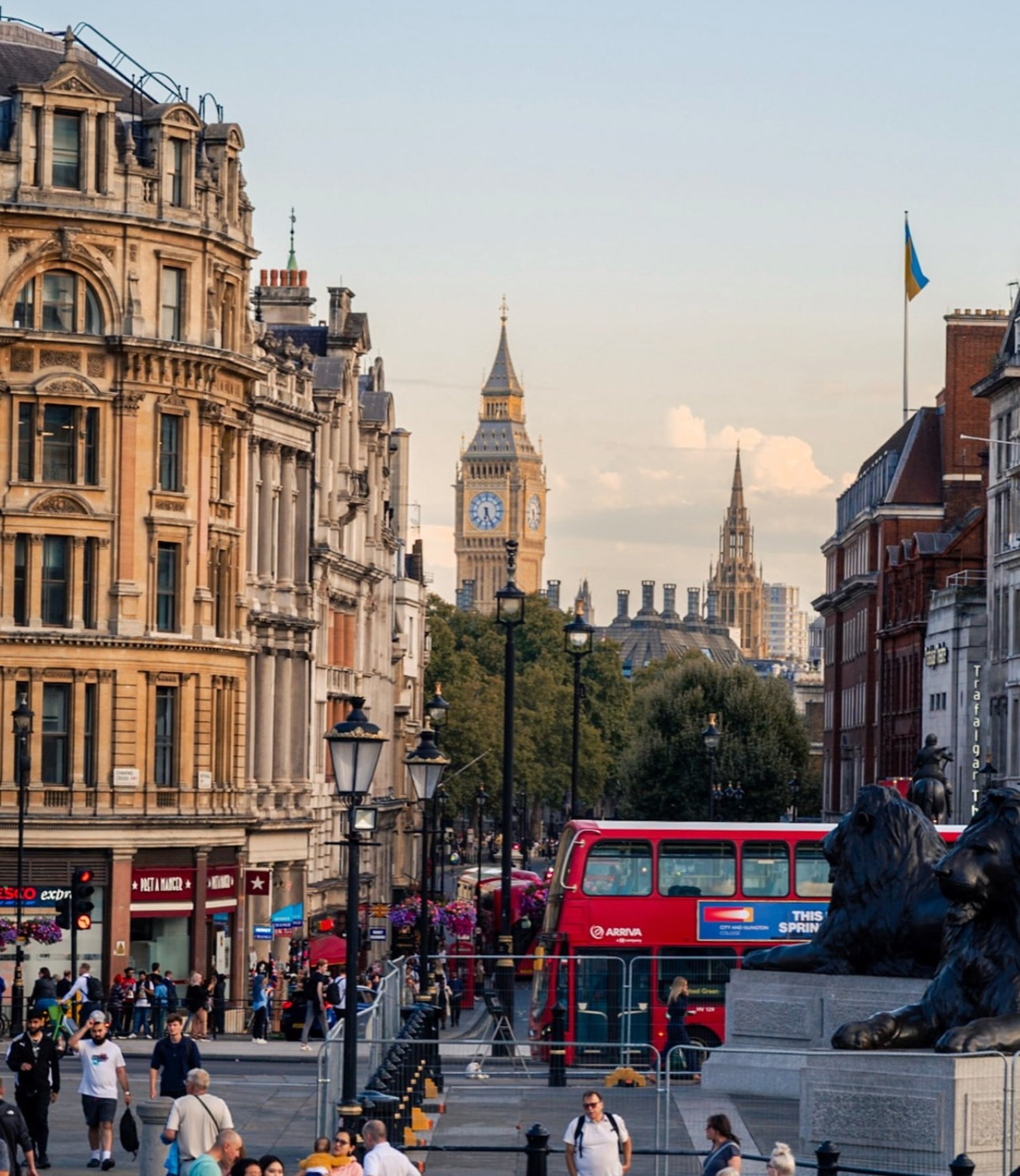black blue and yellow textile
