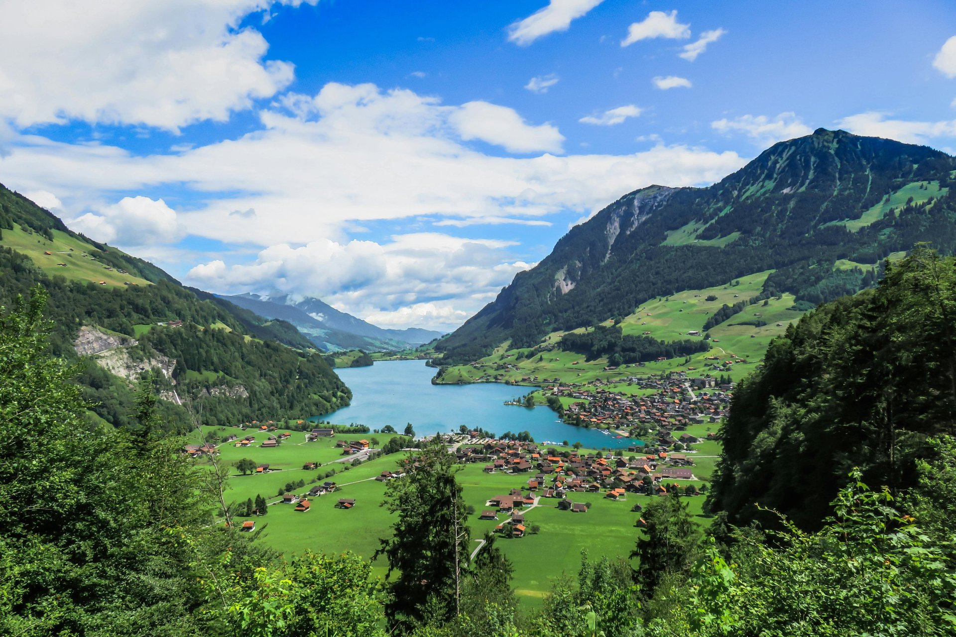 black blue and yellow textile