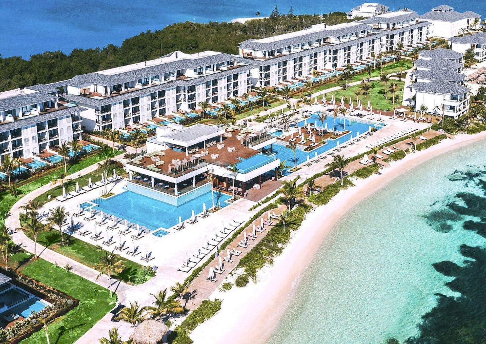 brown wooden pathway with green banana trees on side