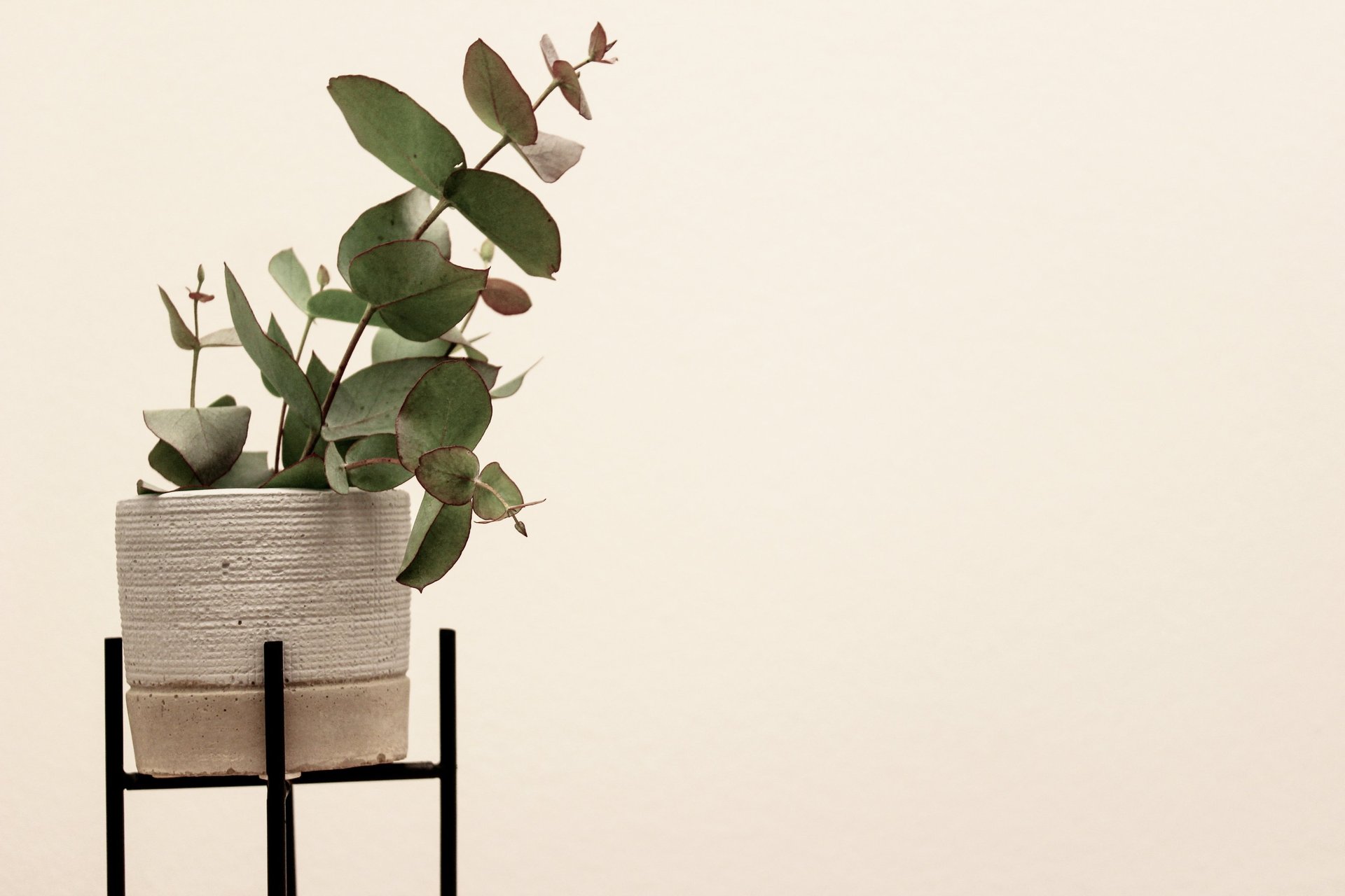 black and white bed linen