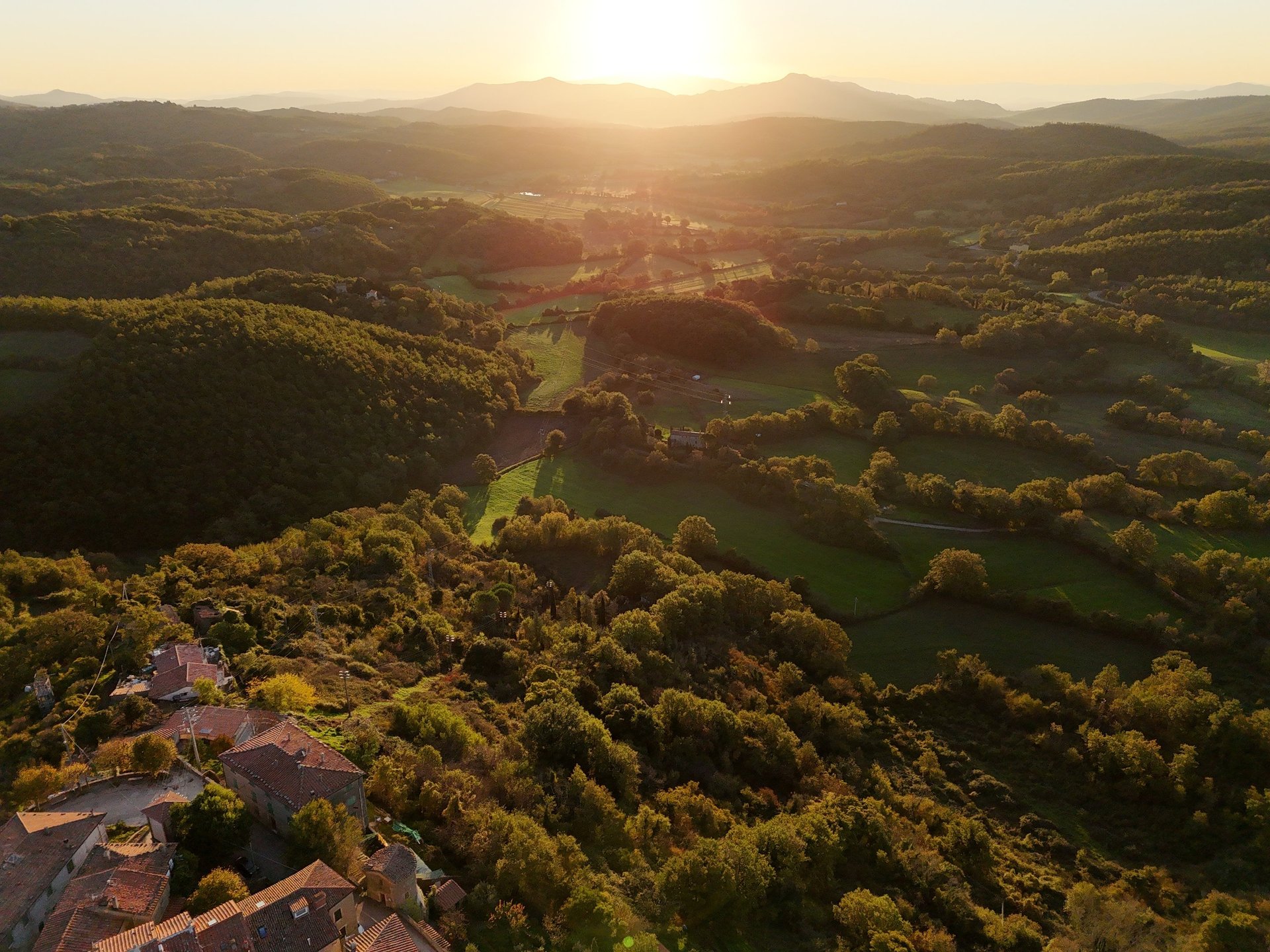 an abstract photo of a curved building with a blue sky in the background