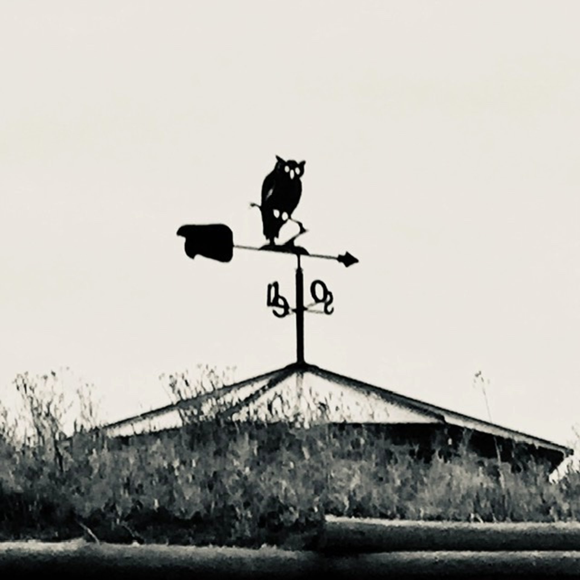 an abstract photo of a curved building with a blue sky in the background