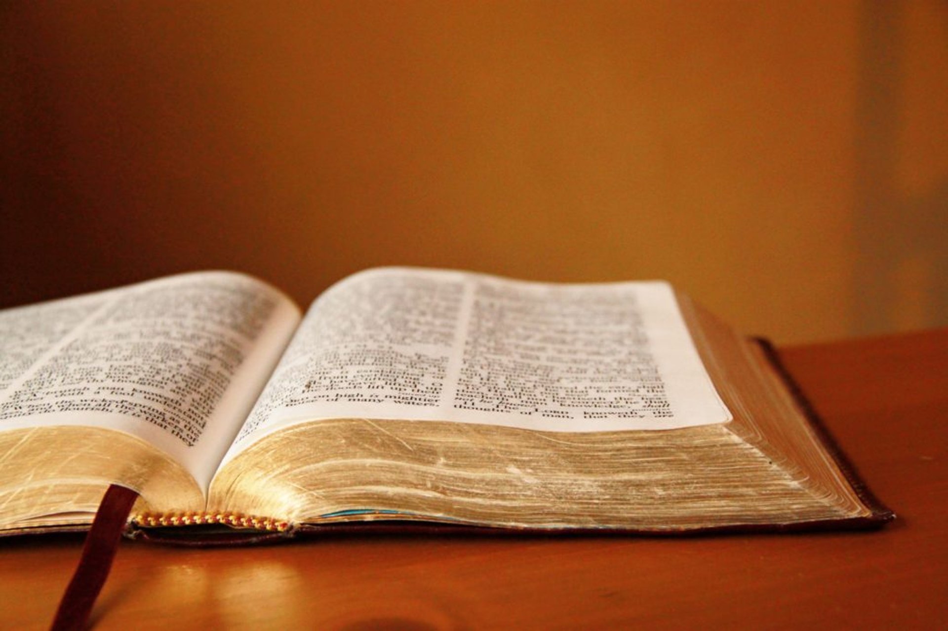 bible page on gray concrete surface