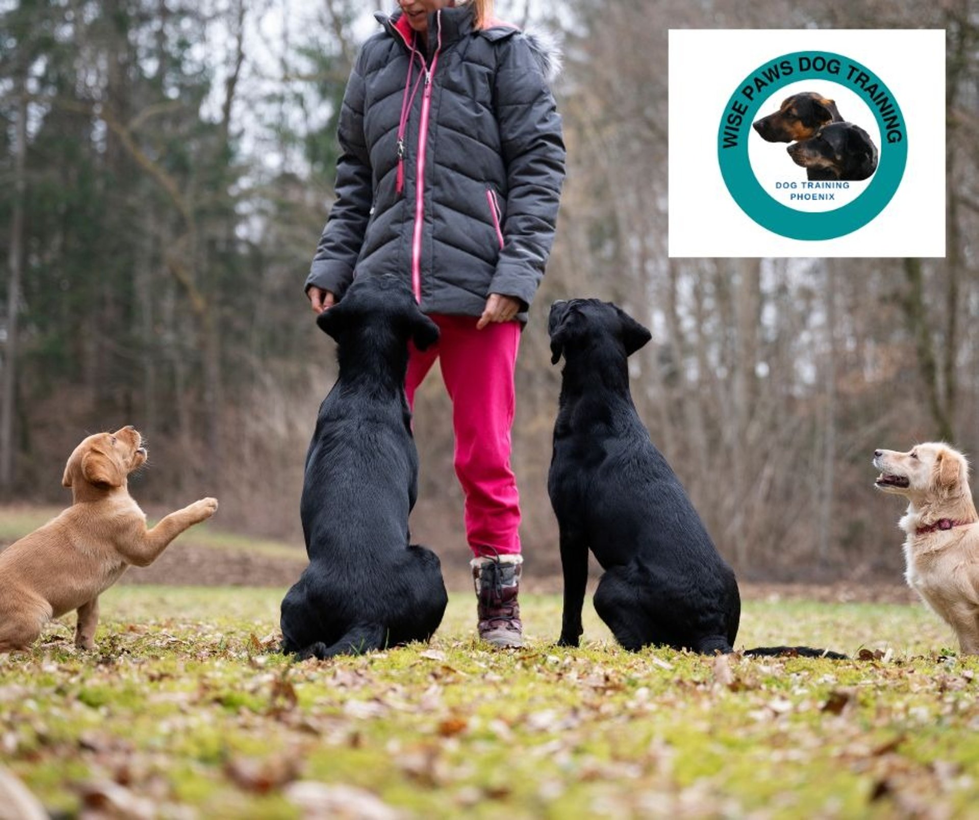 girl in pink t-shirt hugging black short coated dog