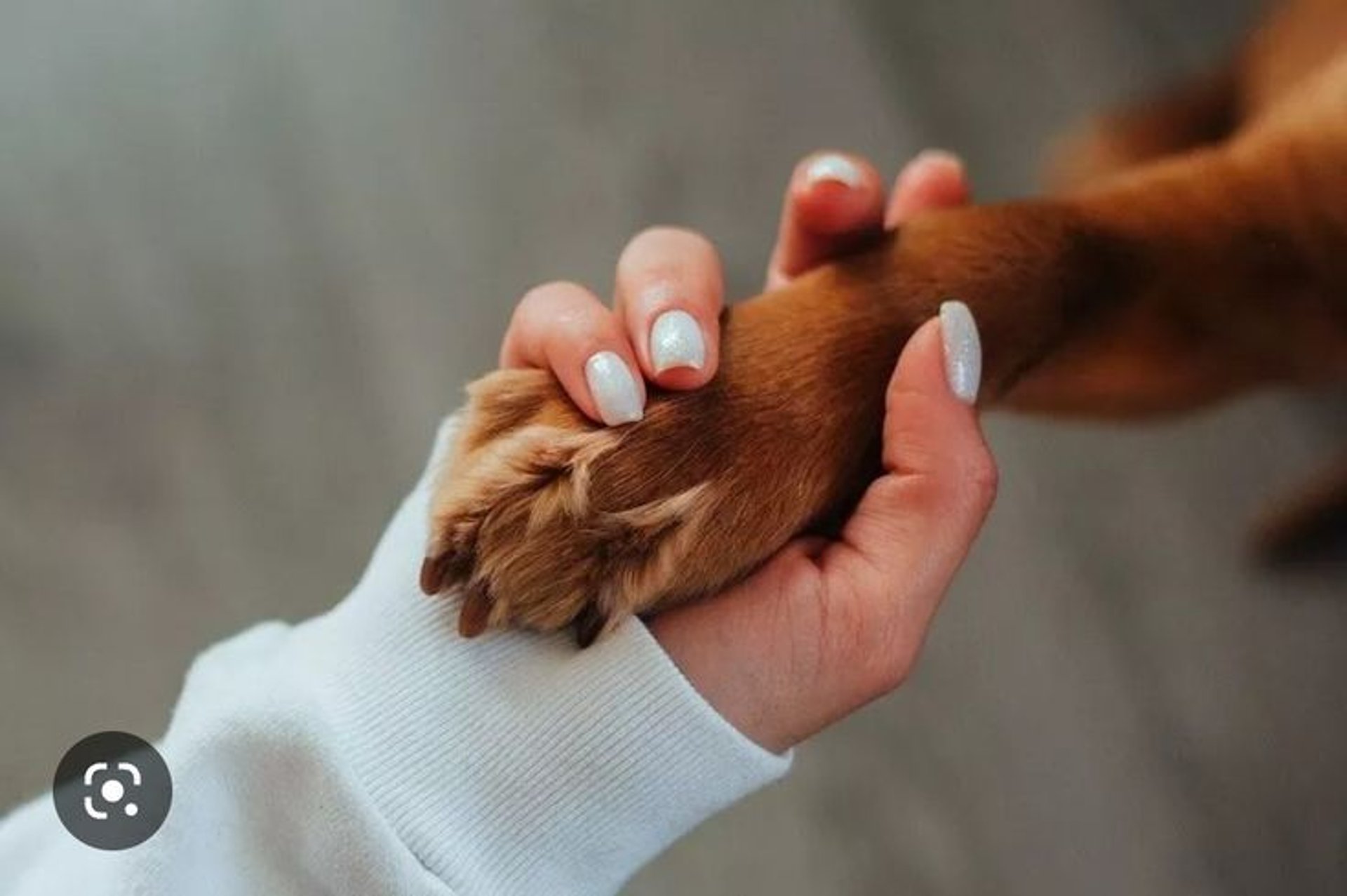 black and brown leather padded tub sofa