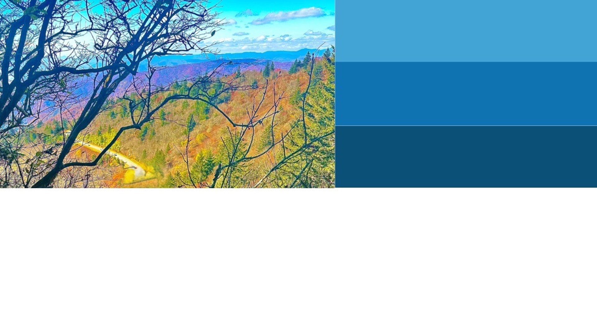 Fall Blue Ridge Mountains with Parkway Drive road in the distance, brand-colored for Asheville Locksmith Now hero section