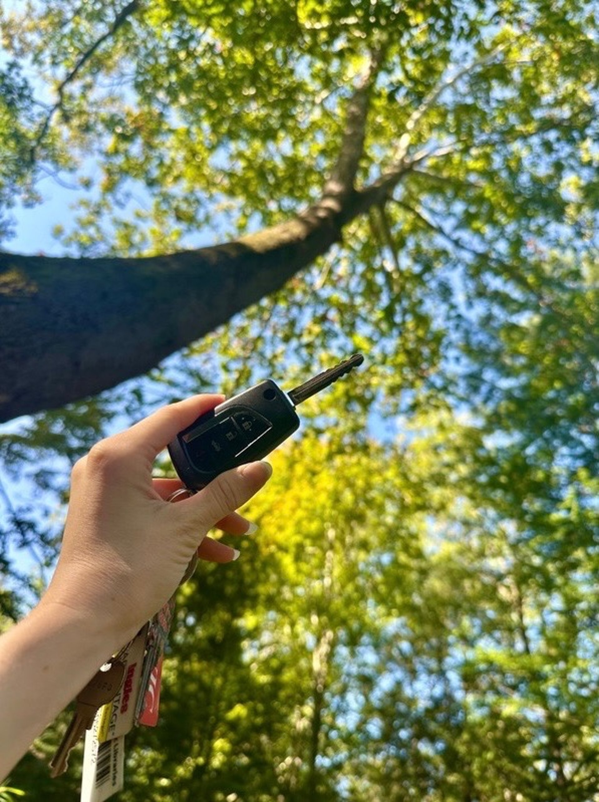 Hand holding car key fob in front of forest background— auto locksmith service Asheville, NC