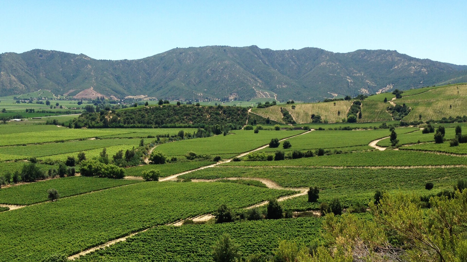 woman wearing yellow long-sleeved dress under white clouds and blue sky during daytime
