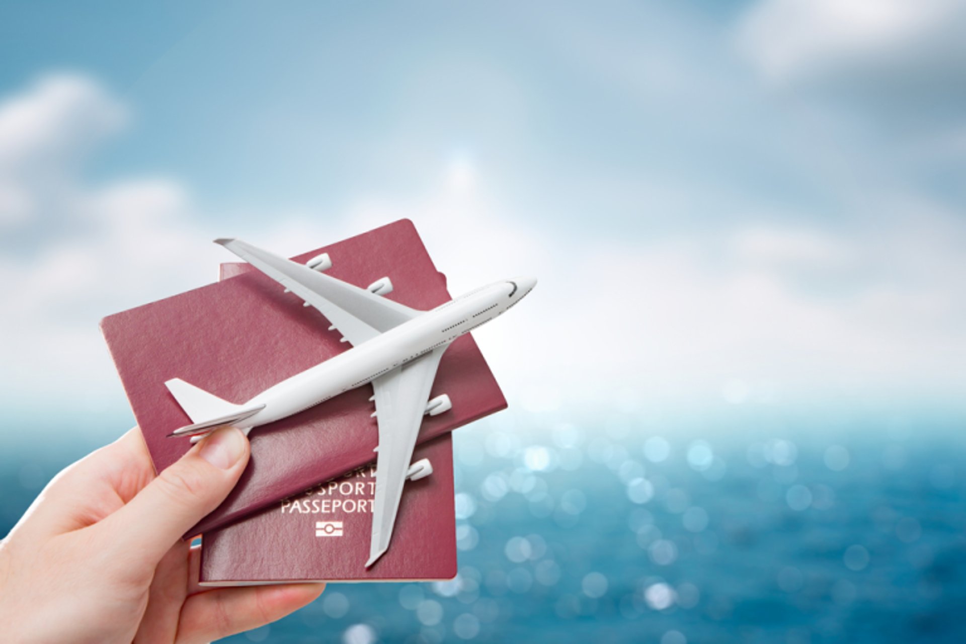 Passport book