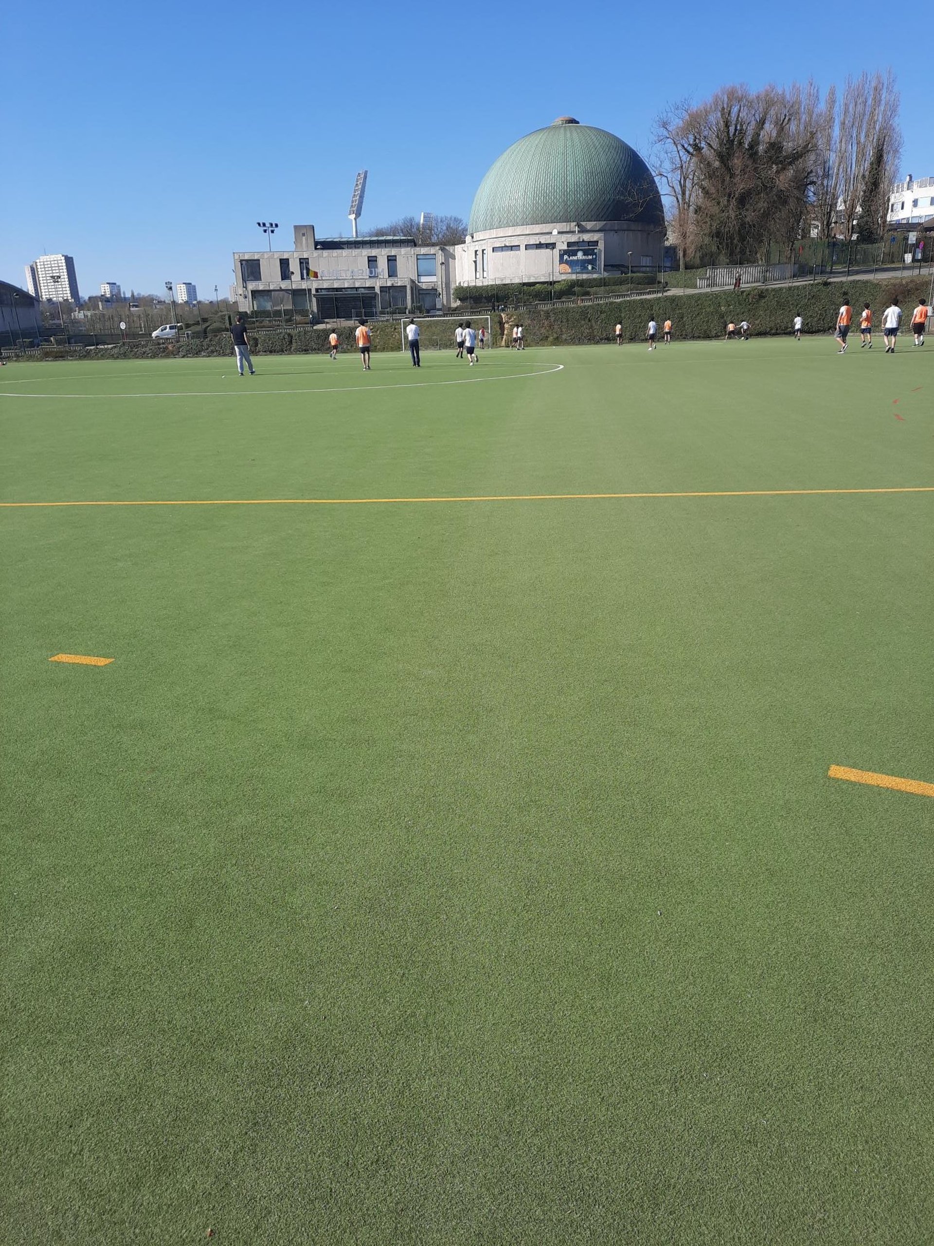 green sports court illustration