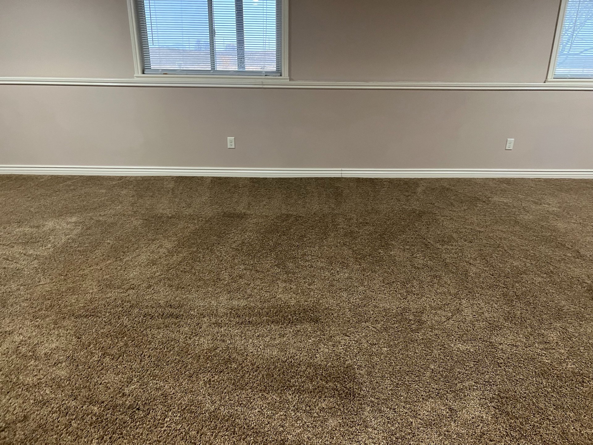 Best carpet cleaning and carpet steam cleaning services in Kansas and Missouri