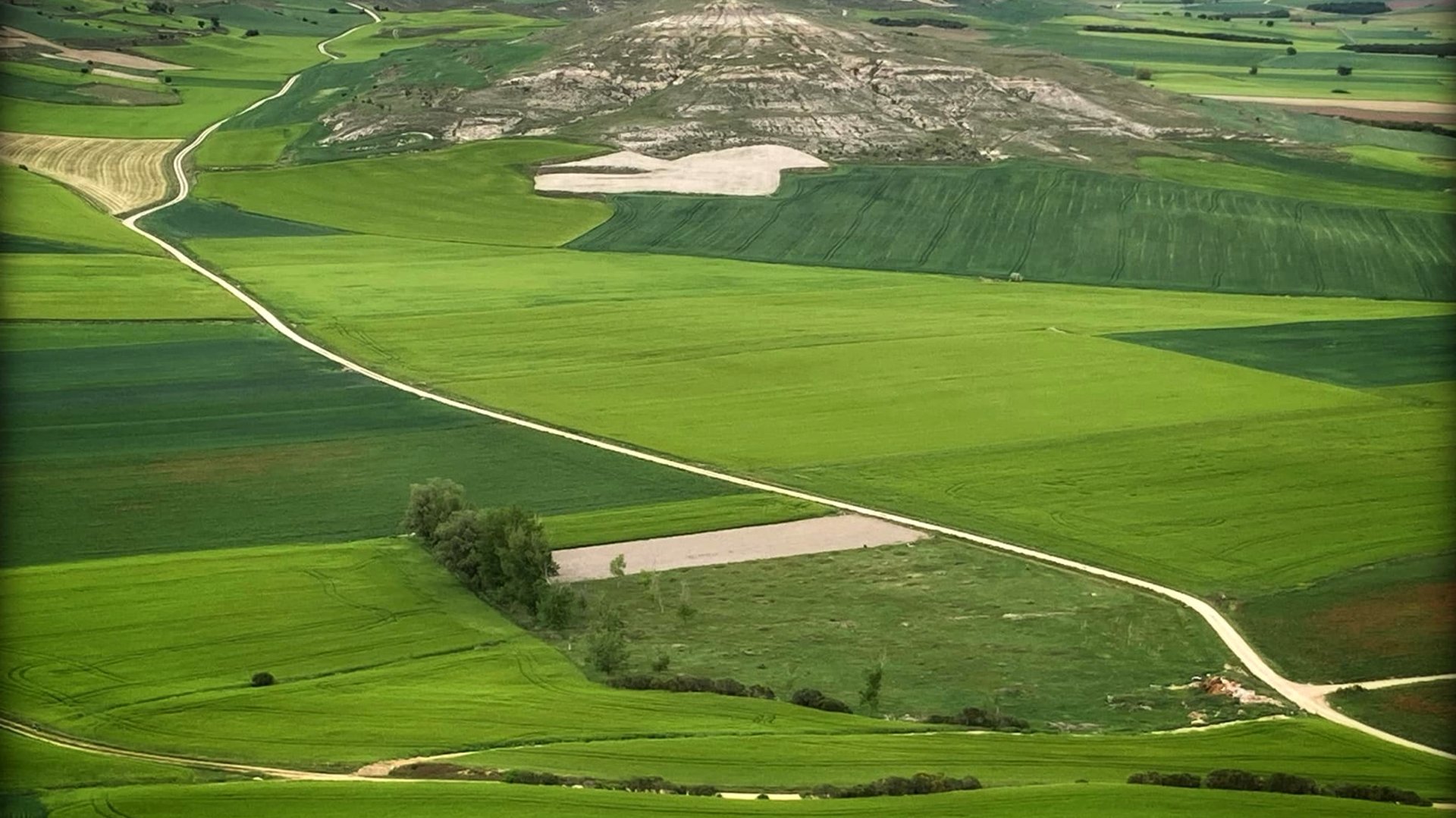 black and brown leather padded tub sofa
