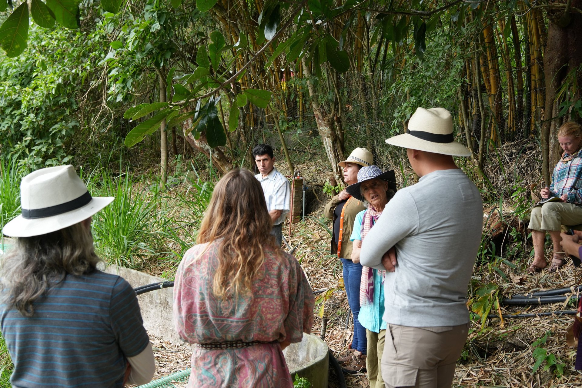 gray computer monitor