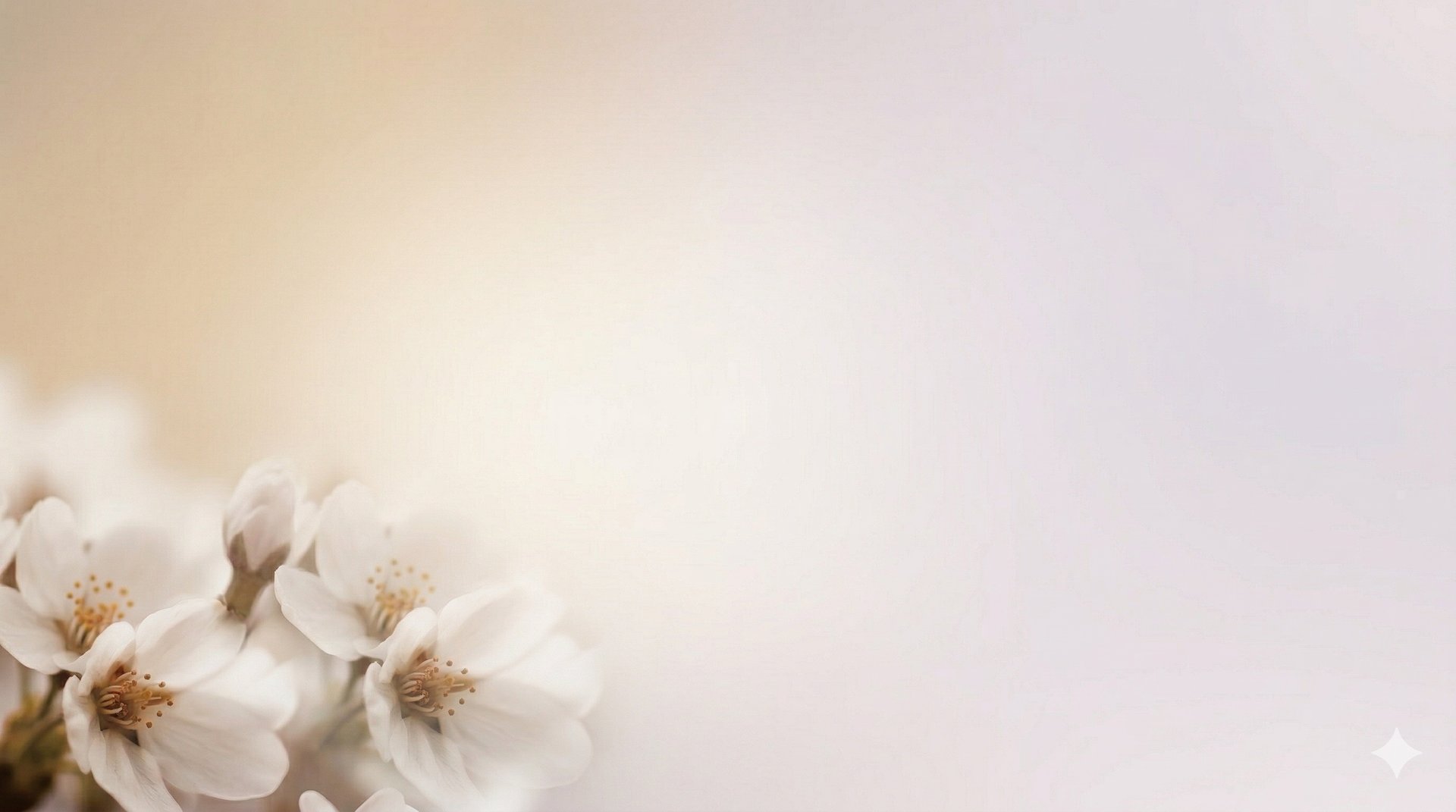 a blurry photo of a bunch of dandelions