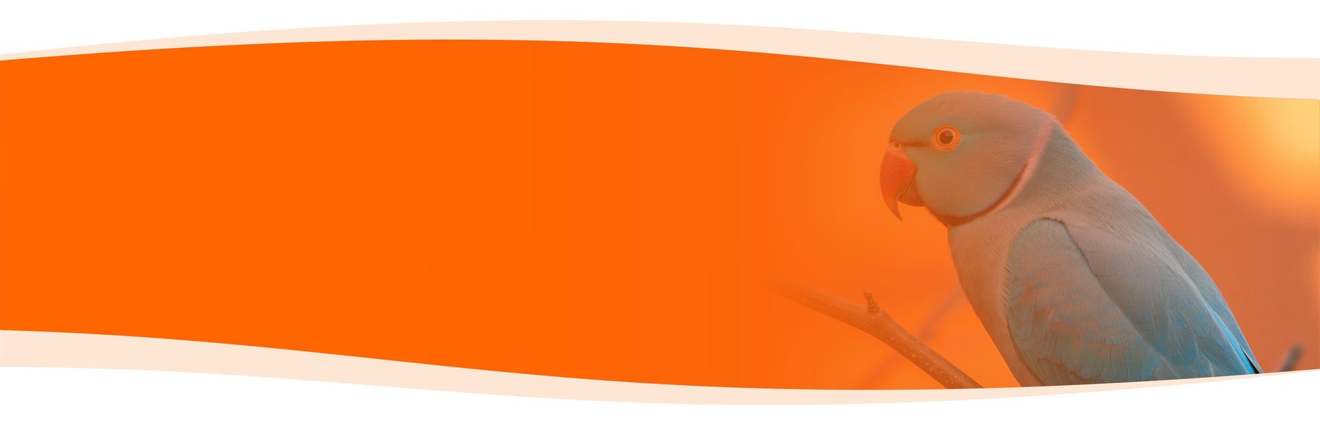 Porteira Aberta Pet Shop em Umuarama - PR